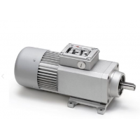 Mini Motor 蜗轮蜗杆减速电机：单相或三相