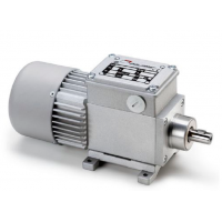 Mini Motor 蜗轮蜗杆减速电机：持续电流