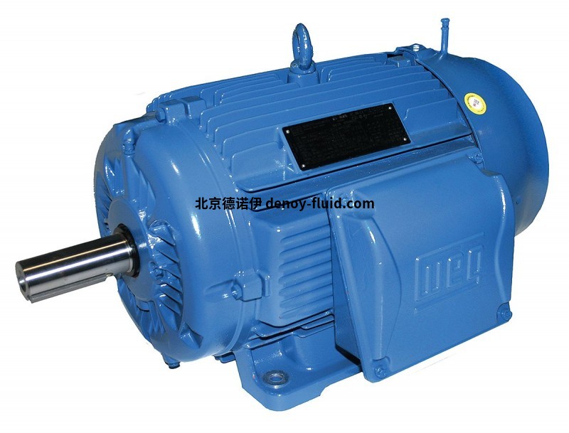 Weg_Electric_Motors-03736ET3Y200L-W22-image