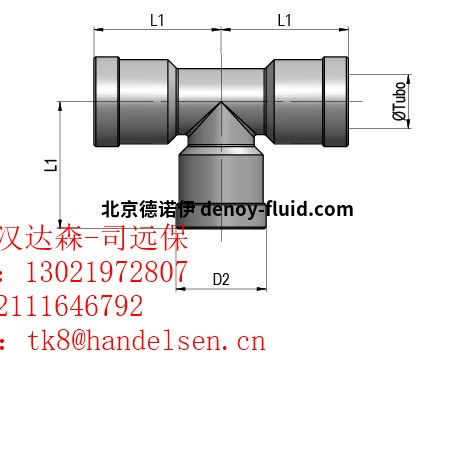 tecnica_AD29