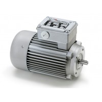 意大利Minimotor进口电动机涡轮蜗杆马达驱动器无刷电机清洁产品