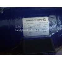 GROSCHOPP 三相电机 IGL 80-60 NV 8669712