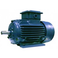 CEMA电机 型号：YP-50-1.5-4-B5