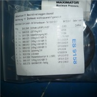 德国MAXIMATOR麦格思维特液压泵 M189-2L