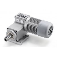 Minimotor 直流蜗杆减速电机马达负荷