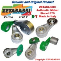 意大利ZETASASSI线性自动涨紧器TO05DP1O58D