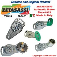 意大利ZETASASSI旋转自动涨紧器TC1系列TC1105