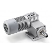 Mini Motor 齿轮电机产品介绍