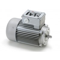意大利Minimotor进口电动机涡轮蜗杆马达驱动器AC-320P2T 7.4 B3