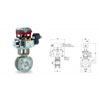 德国Warex 原厂进口 带气动执行器和定位器的蝶阀