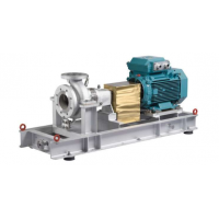 Johnson Pump原装进口CombiPro - 重型流程泵