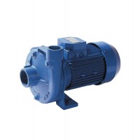 意大利 GMP PUMPS 离心泵 B11/2ZPM 搭配 A-624 A