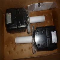 Bucher电动泵WS22GNA5V2优势供应