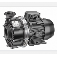 原厂进口德国Speck涡轮泵 CY系列 带磁力联轴器