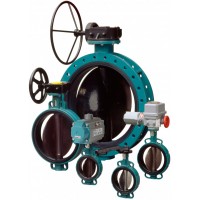 瑞士Interapp蝶阀 Butterfly valve DN 25 - 1600