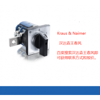 ​Kraus & Naimer开关C80-6.J-1541*05.ER-V