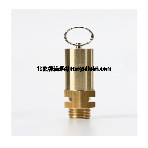 带排水口的安全阀Z10