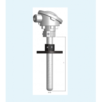 Thermo-Electra热电偶，热电阻传感器，多点温度传感器，热电偶套管