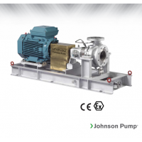 Johnson Pump 重型流程泵，适合化工/石化工业、炼油厂和一般工业应用