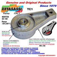 意大利ZETASASSI 出售各种系列的张紧器、链条张紧器、皮带张紧器等